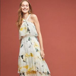 NWT Anthropologie Garden Party Dress